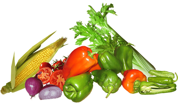FomoFarm Organic Farming